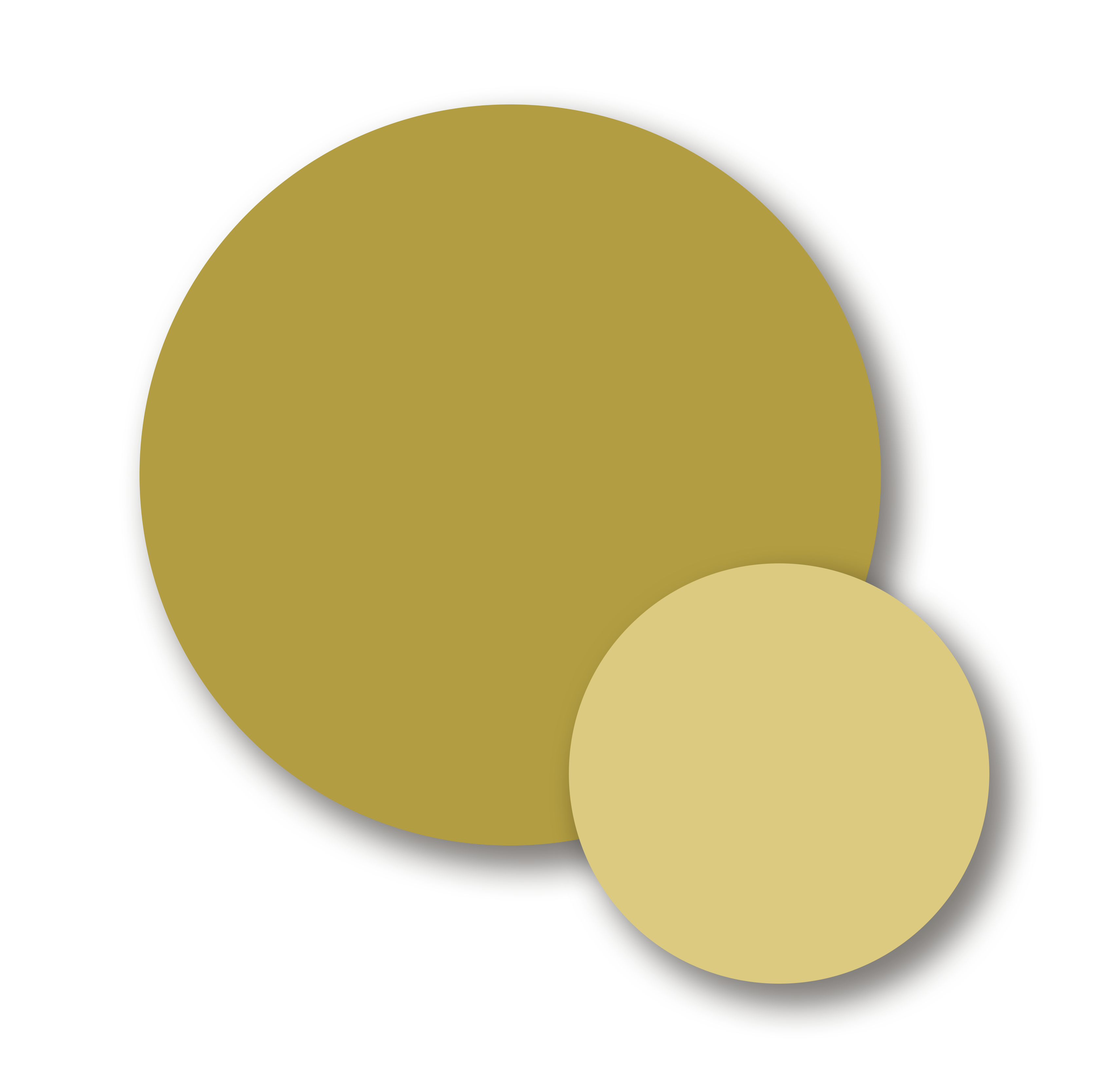 Hasaniyya Emblem Badge
